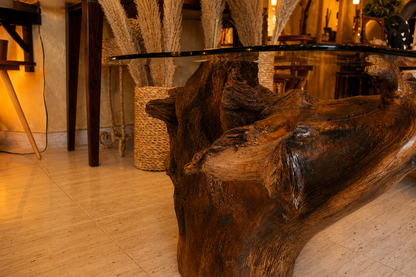 Kaya Olive Tree Root Table