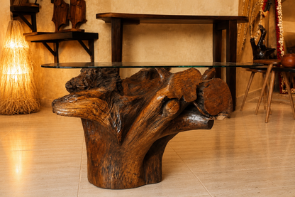 Kaya Olive Tree Root Table